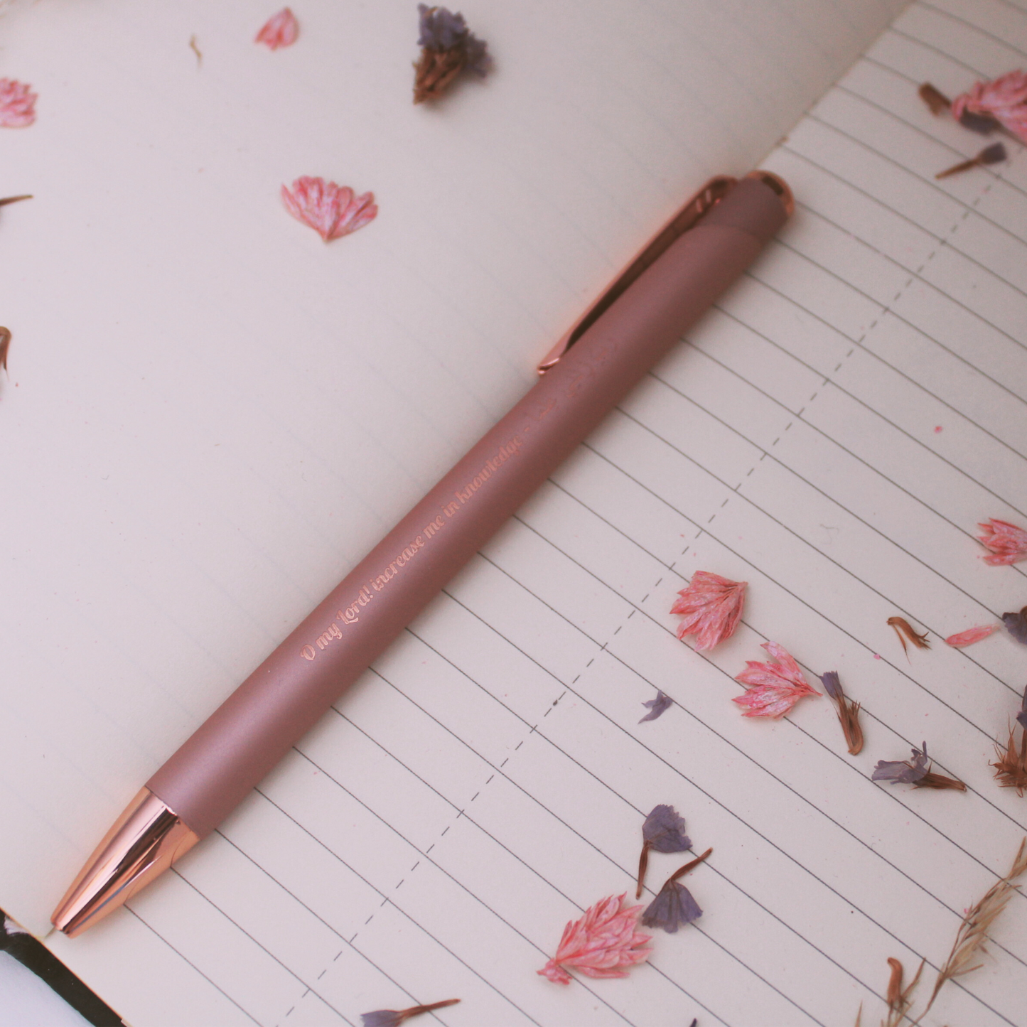 Rabbi zidni ilma Stift - Rosa